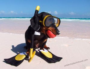 snorkel-diver-costume